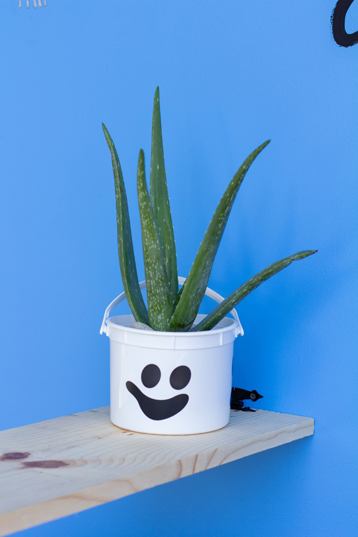 A blue wall with several objects including a wooden bench, silver milagros, a cassette player, paintings of candles, an aloe plant, tools, and more.