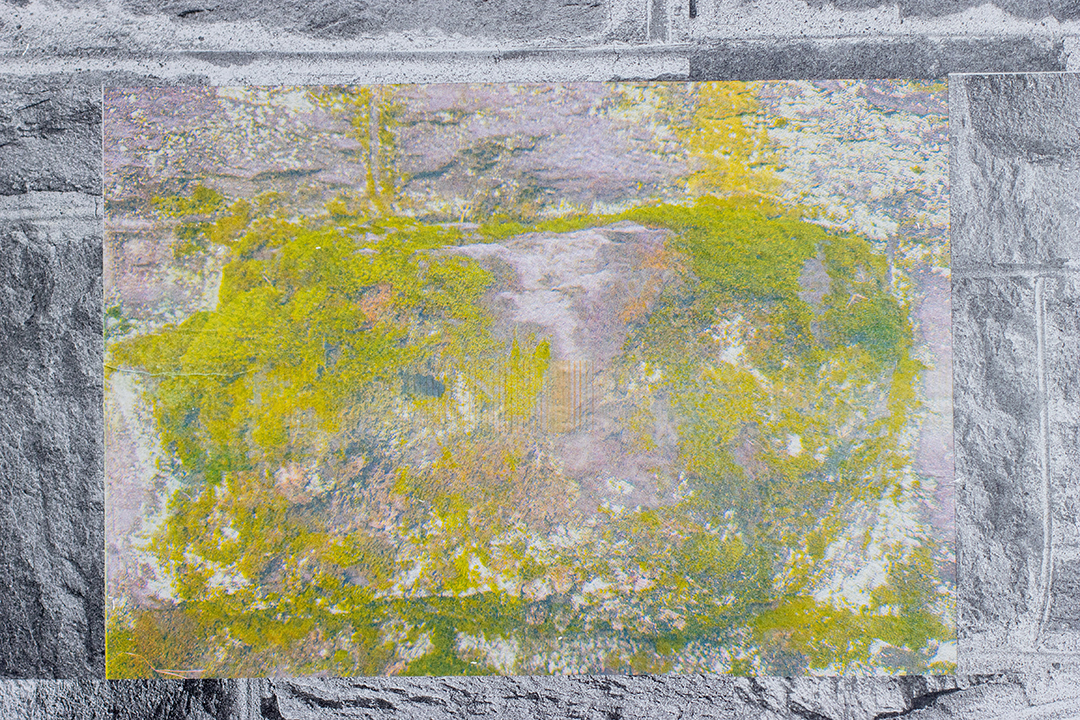 A close up of wheatpasted images of stone from stone wall covered in green moss