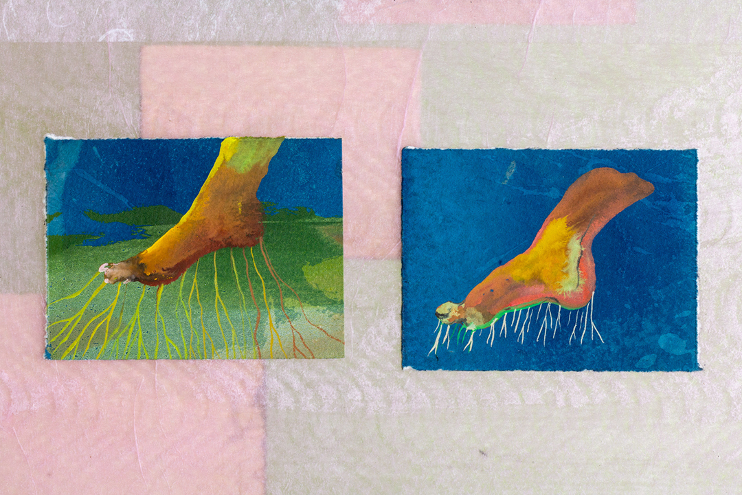 A detail of a small gouache drawings of feet sprouting roots